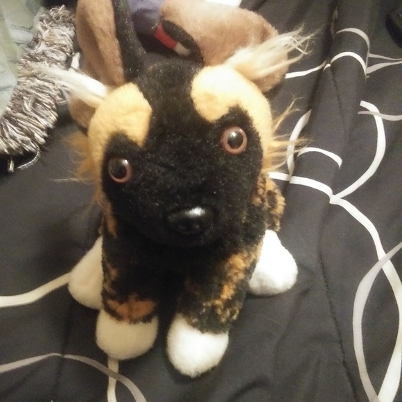 Stuff anamal - Picture 2 of 4